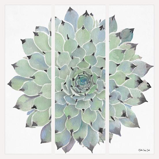 Agave Triptych 1 By Stellar Design Studio Art Print - 12 X 12