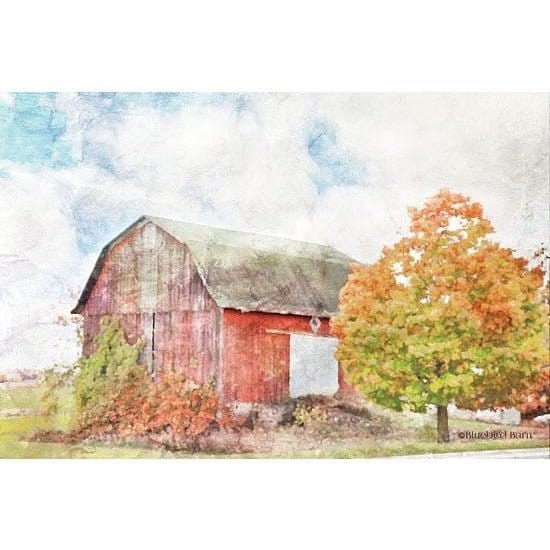 Autumn Maple By The Barn By Bluebird Barn Art Print - 12 X 18-Penny Lane Publishing-The Village Merchant