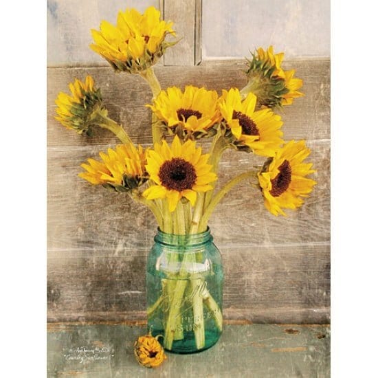 Country Sunflowers I By Anthony Smith Art Print - 12 X 16-Penny Lane Publishing-The Village Merchant
