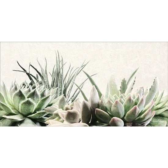 Soft Succulents II Poster Print by Lori Deiter