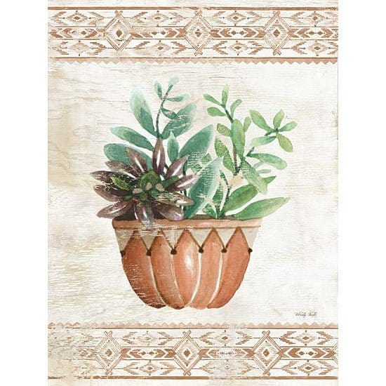Southwest Terracotta Succulents I By Cindy Jacobs Art Print - 12 X 16