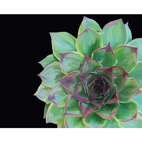 succulent studios shop Succulent Elegans III By JG Studios Art Print - 12 X 16