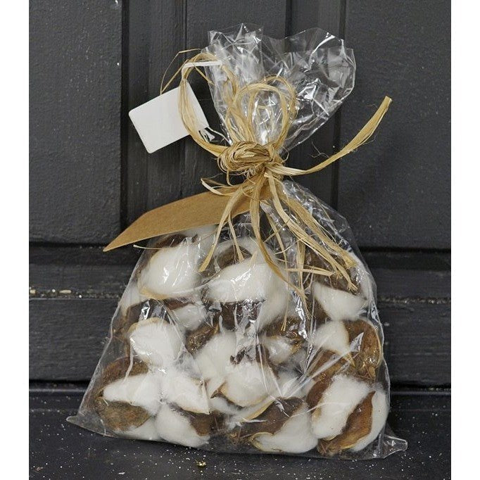 Botanical Fillers & Accents-The Village Merchant