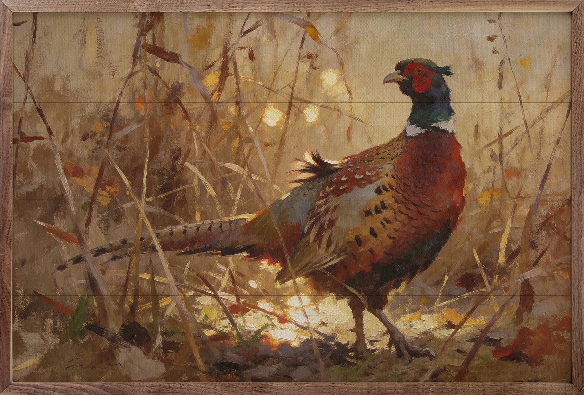 Ring-necked Pheasant In Autumn Grass Printed and Framed Wall Sign