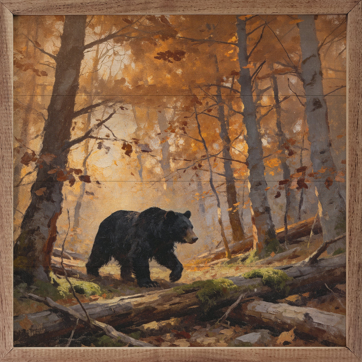 Bear In The Autumn Trees Printed and Framed Wall Sign