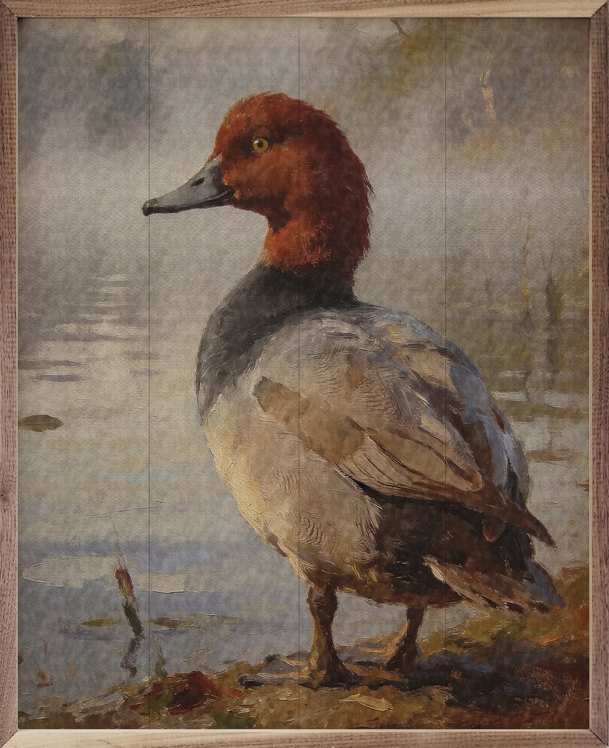 Redhead Duck Printed and Framed Wall Sign