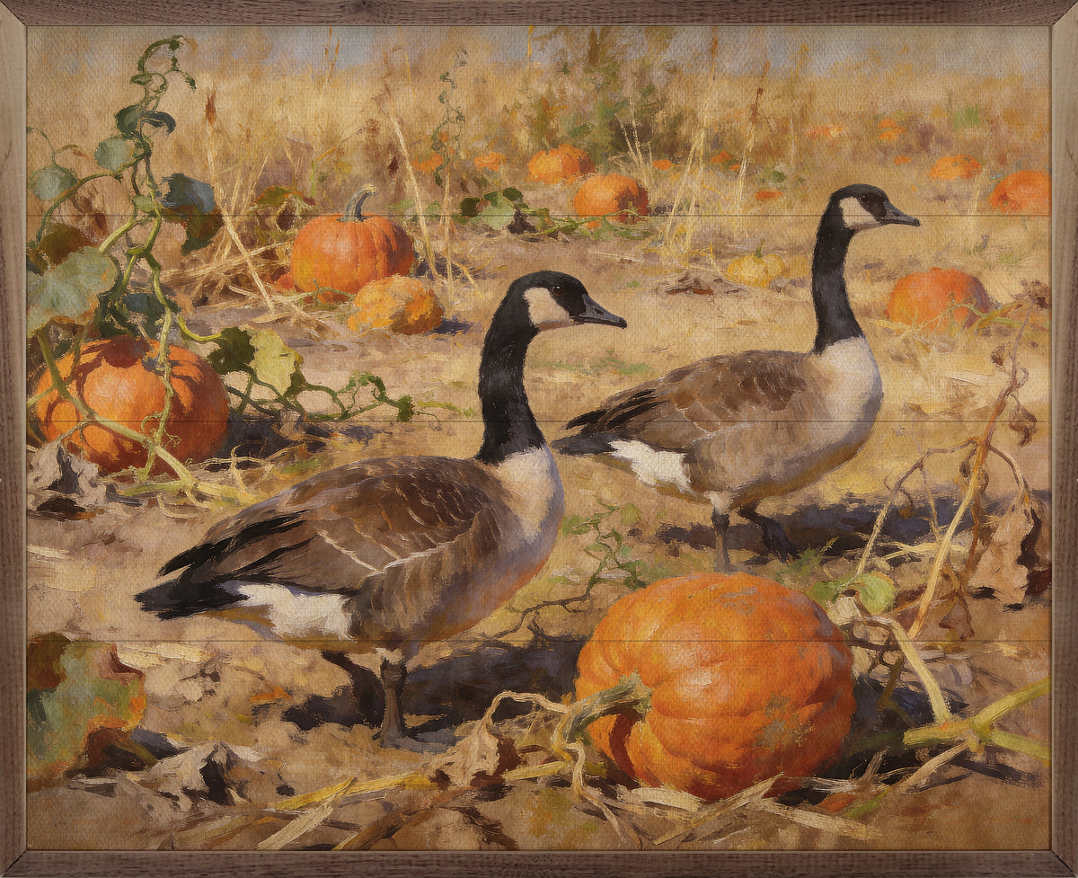 Canadian Geese In Autumn Field Printed and Framed Wall Sign