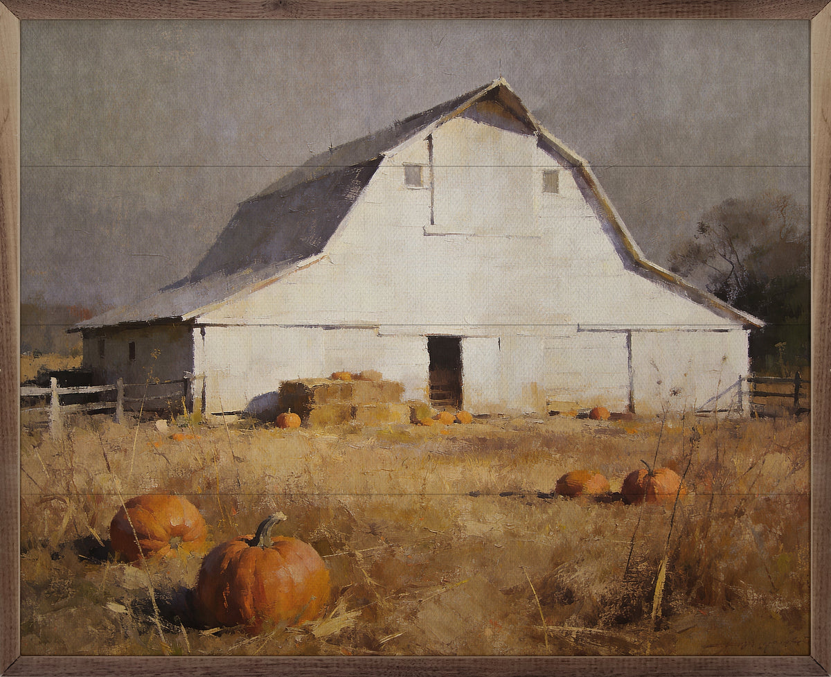 White Barn In Golden Pumpkin Pasture Printed and Framed Wall Sign