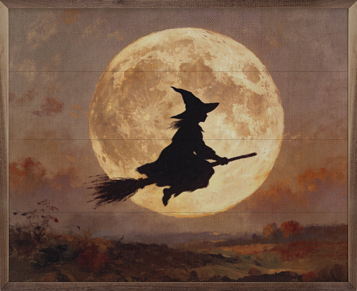 Witch And The Moon Printed and Framed Wall Sign