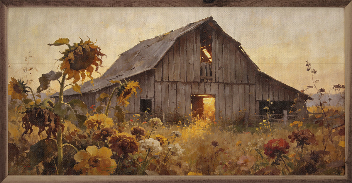 Weathered Barn In Sunflower Autumn Field Printed and Framed Wall Sign