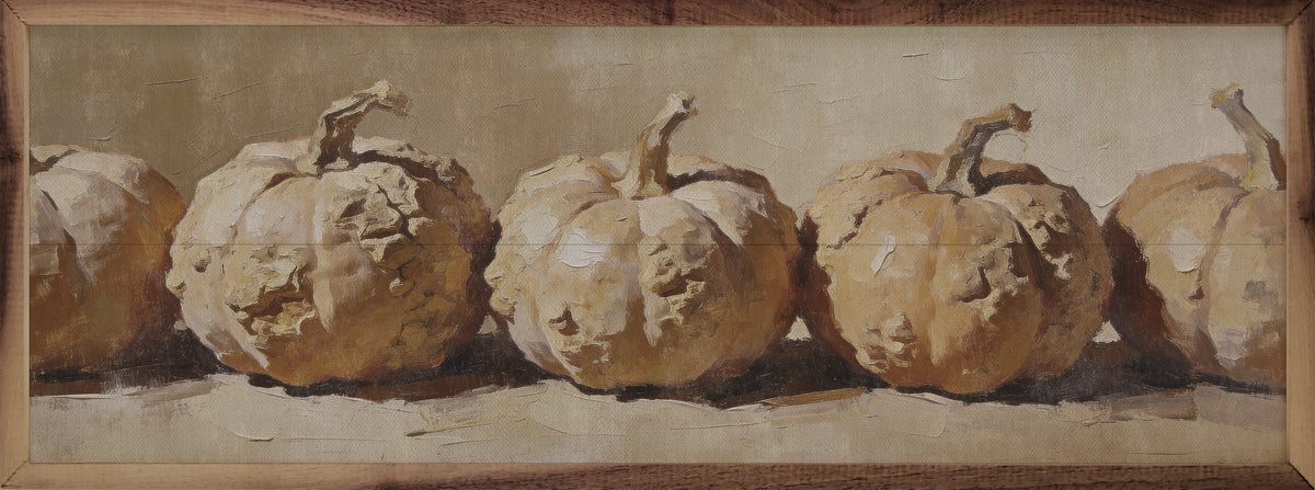 Row Of White Harvest Pumpkins Printed and Framed Wall Sign