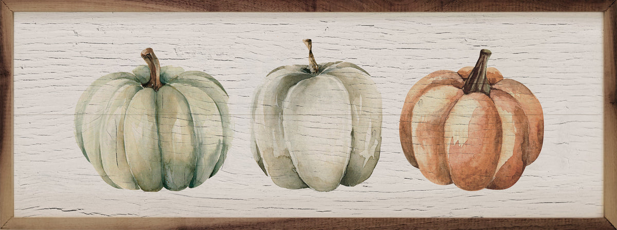 Three Pumpkins Orange Whitewash Printed and Framed Wall Sign