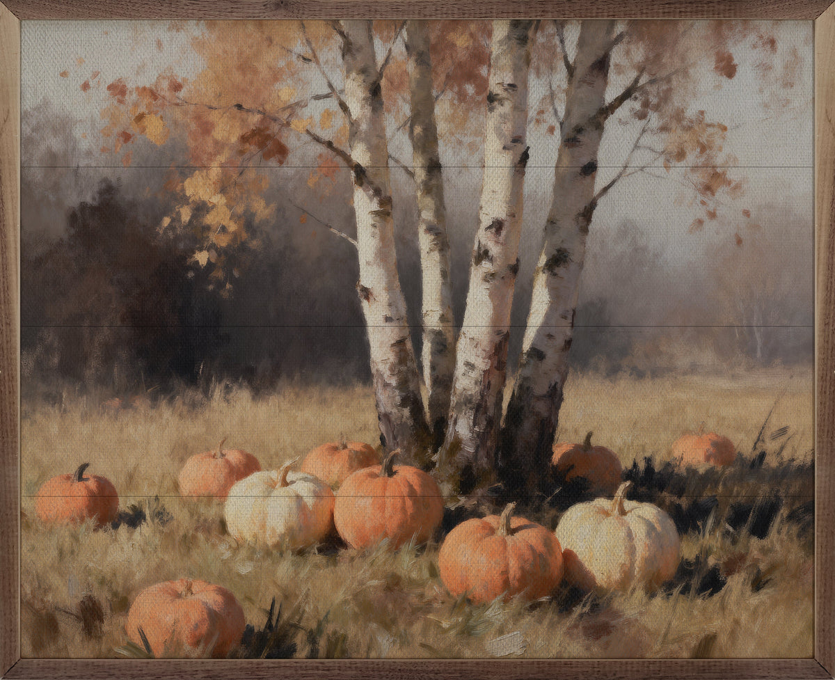 Four Birch Trees With Pumpkins Printed and Framed Wall Sign