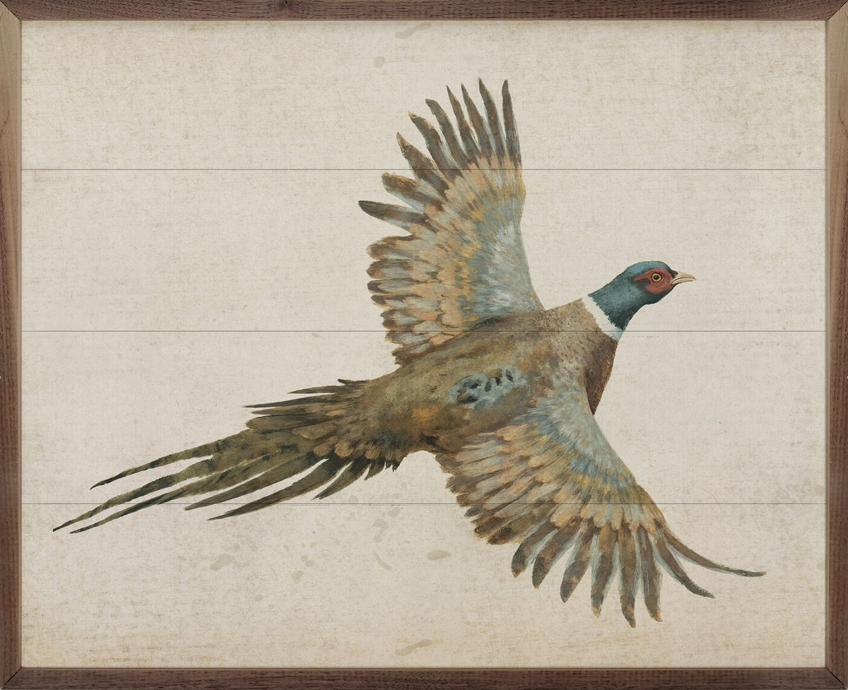 Pheasant Printed and Framed Wall Sign