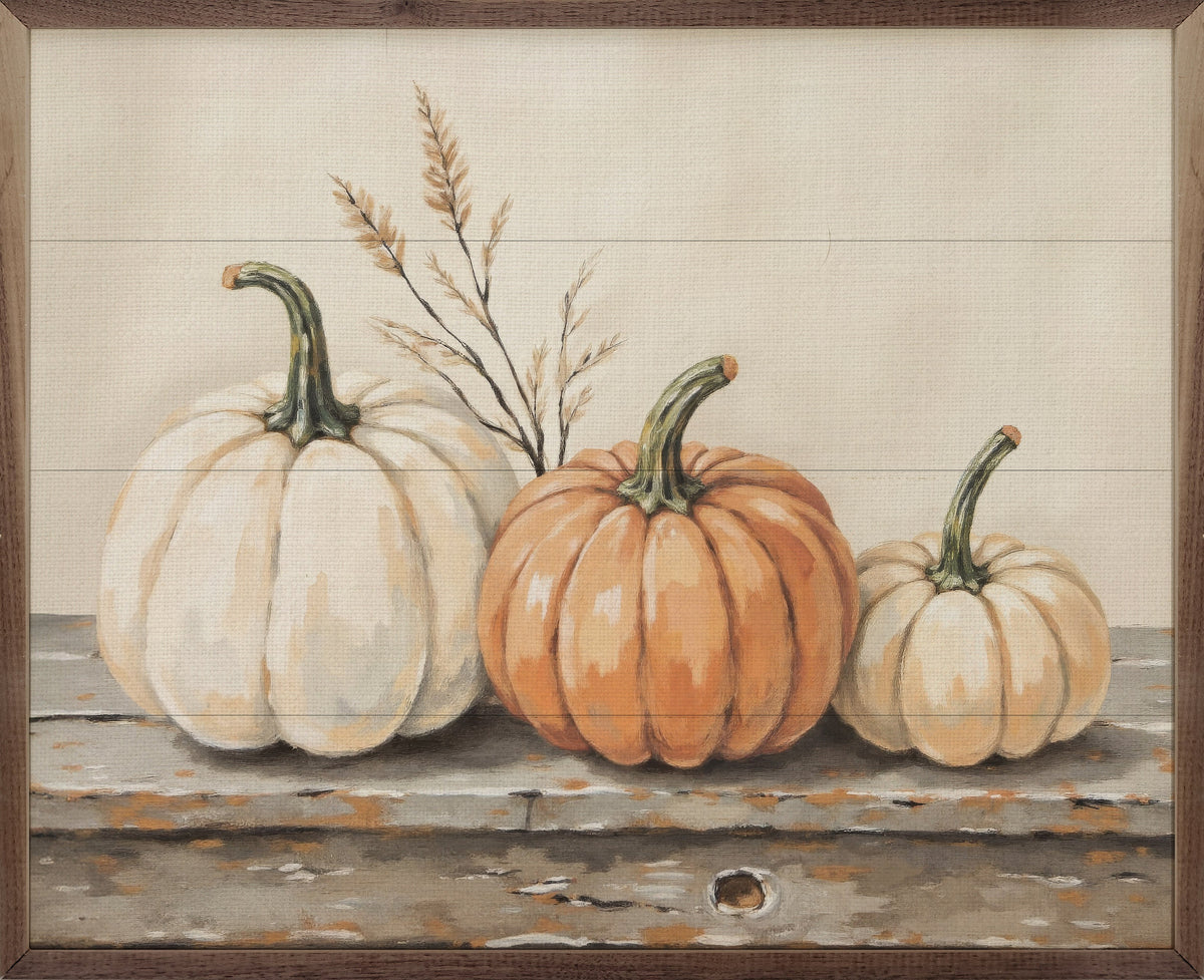 Pumpkins On A Rustic Shelf Printed and Framed Wall Sign