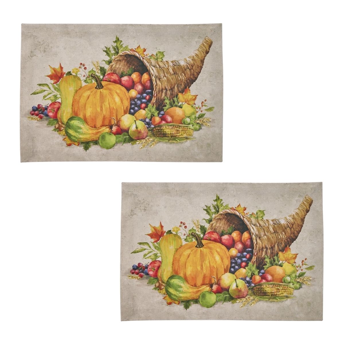 Cornucopia Printed Placemat Set of 2