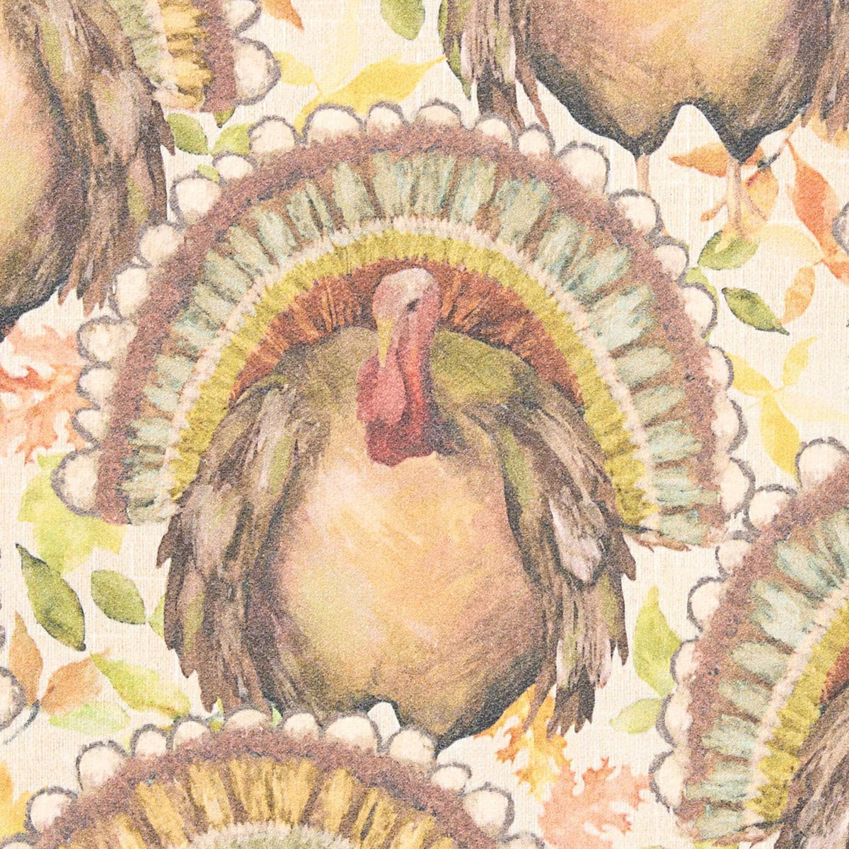 Tom Turkey Printed Placemat Set of 2
