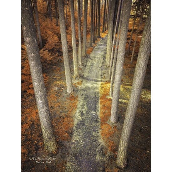 A Magical Flight By Martin Podt Art Print - 12 X 16-Penny Lane Publishing-The Village Merchant