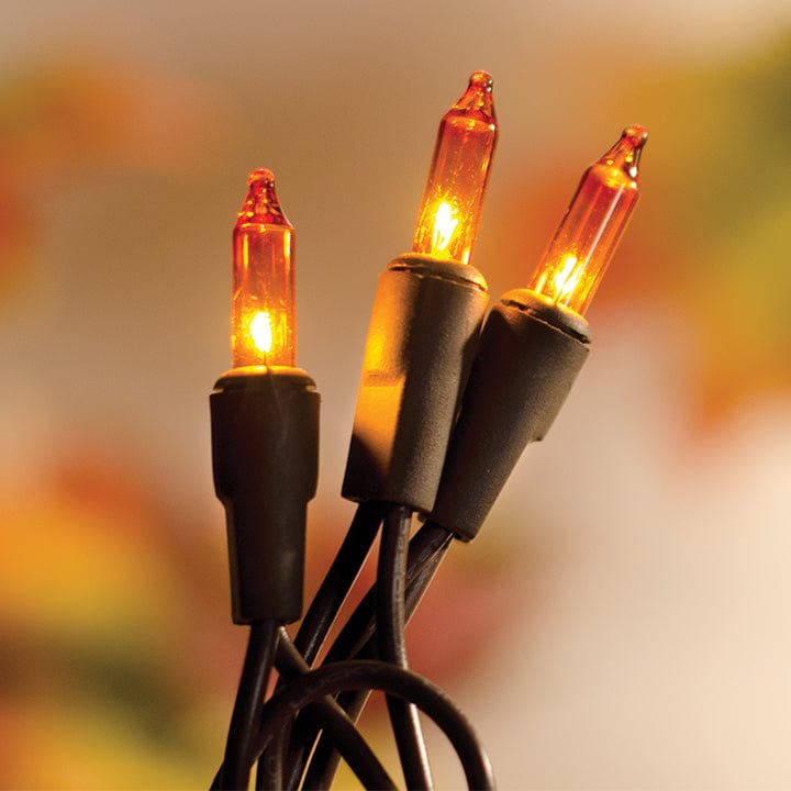 Bright Lights - Brown Cord Light String / Set - Miniature Bulbs 20 Count Set