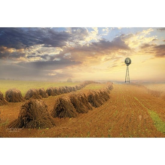 Amish Country Sunrise By Lori Deiter Art Print - 12 X 18-Penny Lane Publishing-The Village Merchant