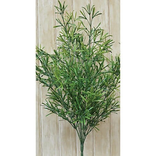 Asparagus bush Large 21&quot; High-Craft Wholesalers-The Village Merchant