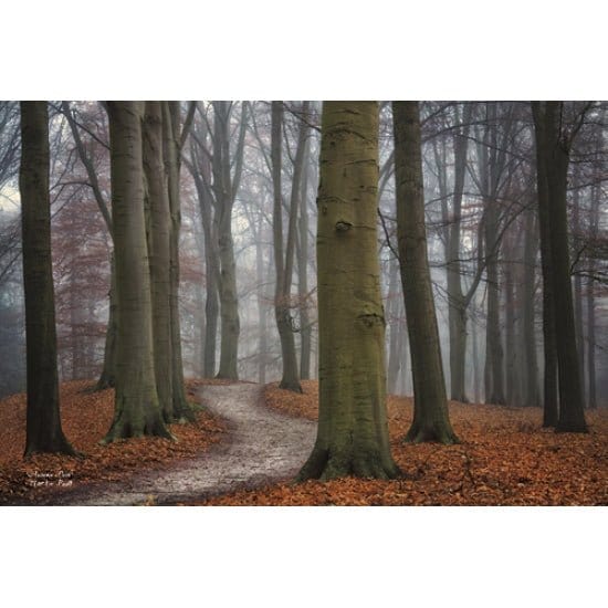 Penny Lane Publishing Autumn Path By Martin Podt Art Print - 12 X 18