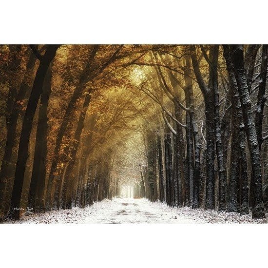 Autumn To Winter By Martin Podt Art Print - 12 X 18-Penny Lane Publishing-The Village Merchant