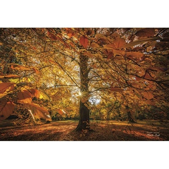 Autunm Leaves By Martin Podt Art Print - 12 X 18-Penny Lane Publishing-The Village Merchant