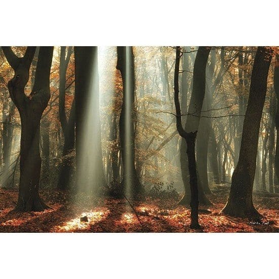 Beam Me Up By Martin Podt Art Print - 12 X 18-Penny Lane Publishing-The Village Merchant