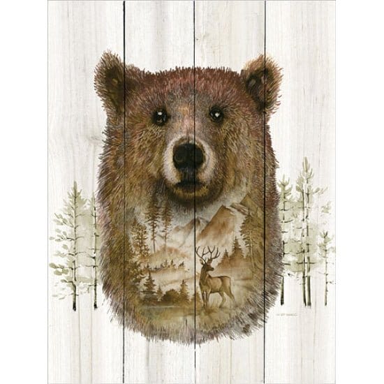 Penny Lane Publishing Bear Wilderness Portrait By Ed Wargo Art Print - 12 X 16