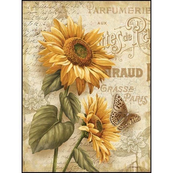 Beauty In Bloom II I By Ed Wargo Art Print - 12 X 16-Penny Lane Publishing-The Village Merchant