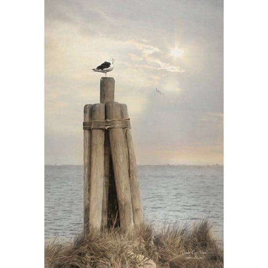 Penny Lane Publishing Bird's Eye View By Lori Deiter Art Print - 12 X 18