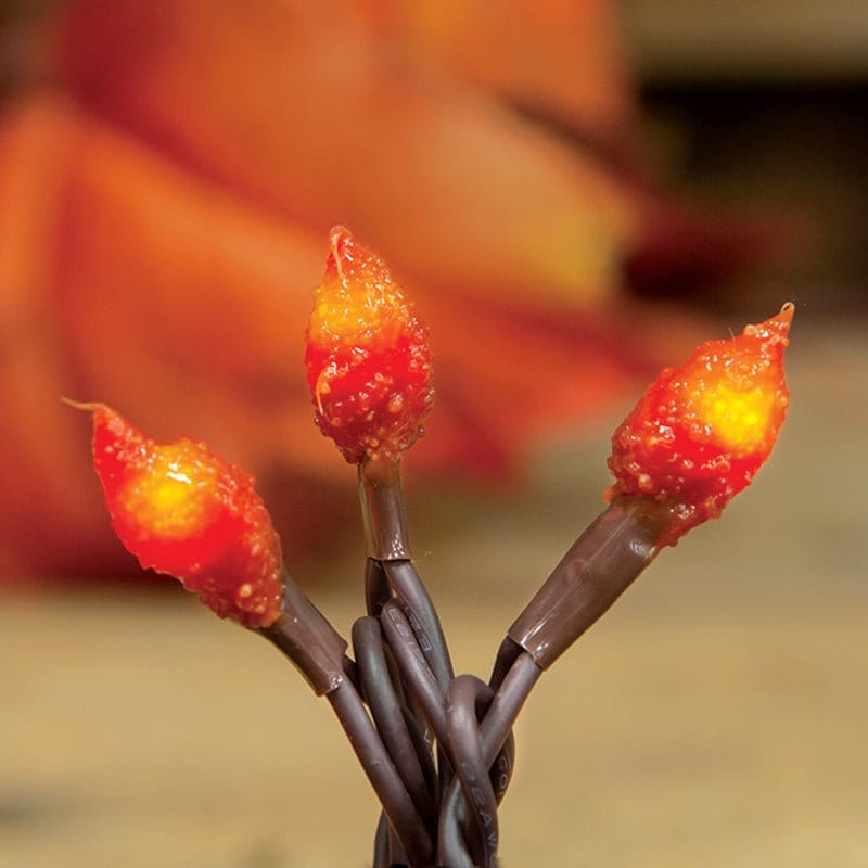 Bittersweet Silicone Dipped Electric Light String 20 Count Brown Cord-Craft Wholesalers-The Village Merchant