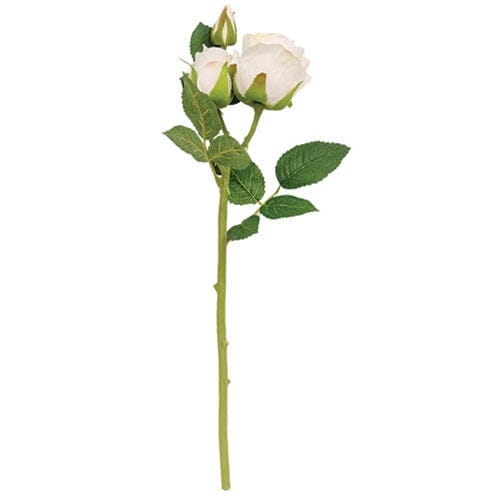 Blooming Blush Ivory Roses Pick / Stem 17" High