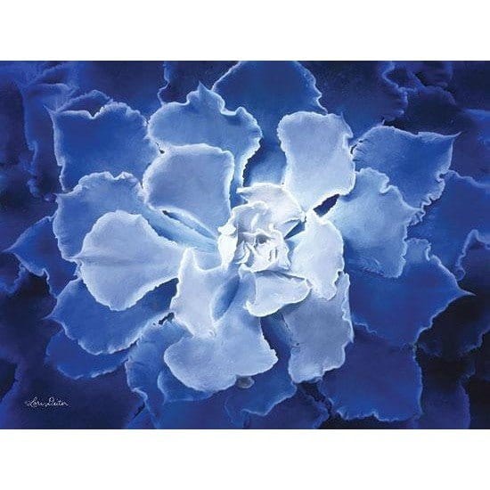 Penny Lane Publishing Blue Succulent I By Lori Deiter Art Print - 12 X 16