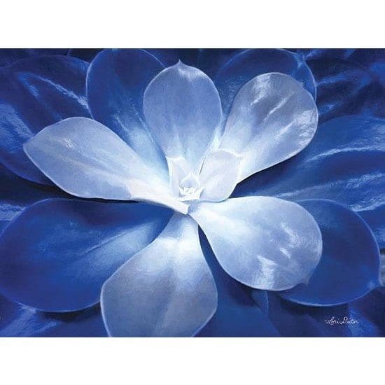 Penny Lane Publishing Blue Succulent II By Lori Deiter Art Print - 12 X 16