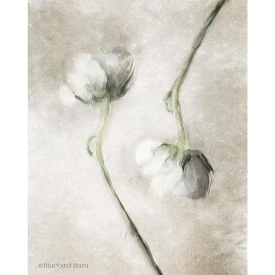 Blush Ranunculus Duo By Bluebird Barn Art Print - 12 X 16-Penny Lane Publishing-The Village Merchant