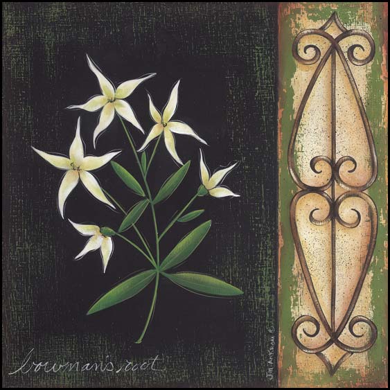 Bowman's Root By Jill Ankrom Art Print - 12 X 12-Penny Lane Publishing-The Village Merchant