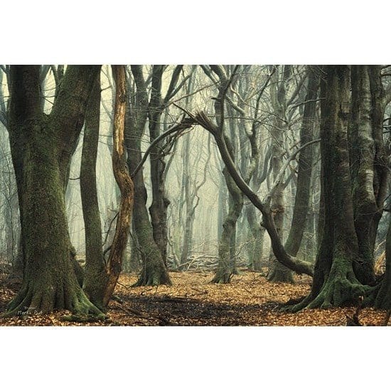 Penny Lane Publishing Broken By Martin Podt Art Print - 12 X 18