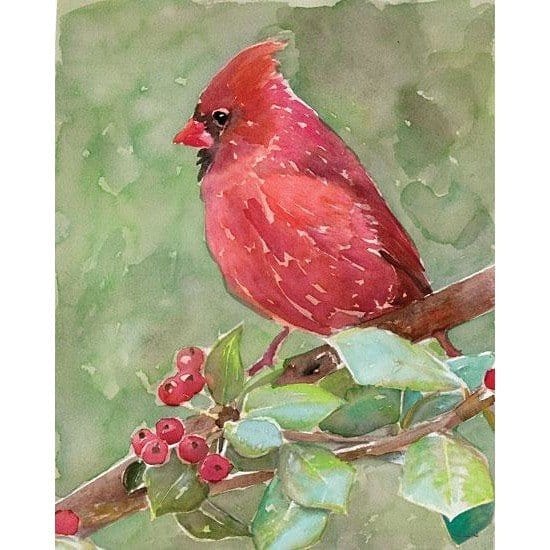 Cardinal 2 By Stellar Design Studio Art Print - 12 X 16-Penny Lane Publishing-The Village Merchant