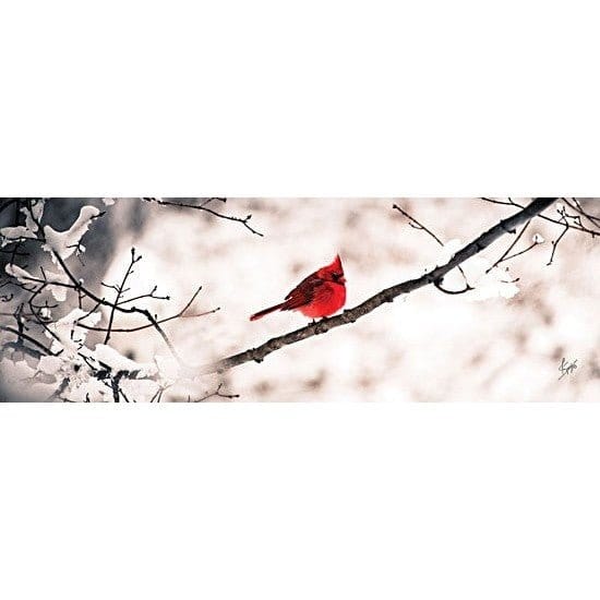 Cardinal III By Justin Spivey Art Print - 6 X 18-Penny Lane Publishing-The Village Merchant