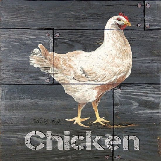 Chicken By Cindy Jacobs Art Print - 12 X 12-Penny Lane Publishing-The Village Merchant