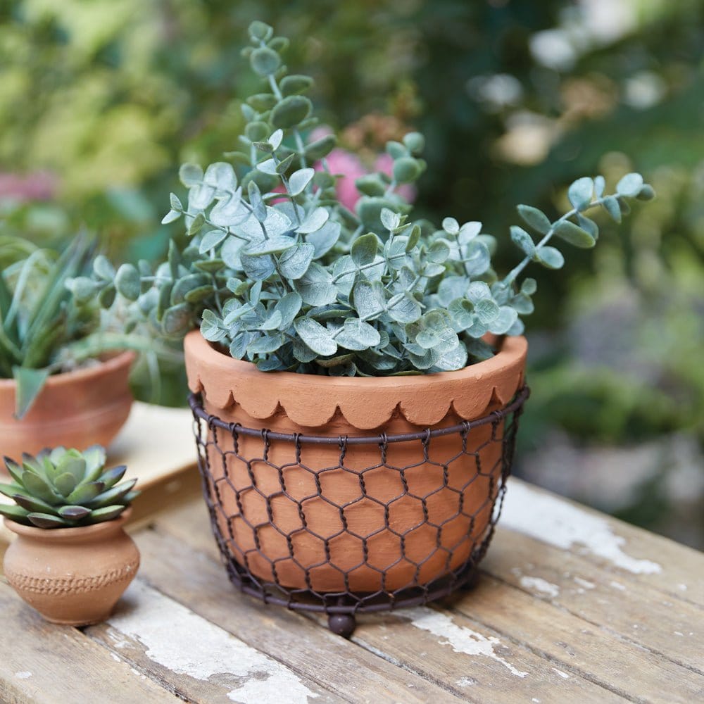Chicken Wire Caddy with Scalloped Terra Cotta Pot Planter-CTW Home-The Village Merchant