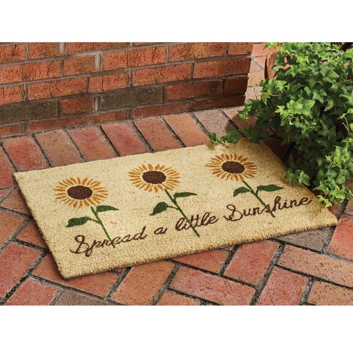 Coir Spread a Little Sunshine Doormat-Park Designs-The Village Merchant