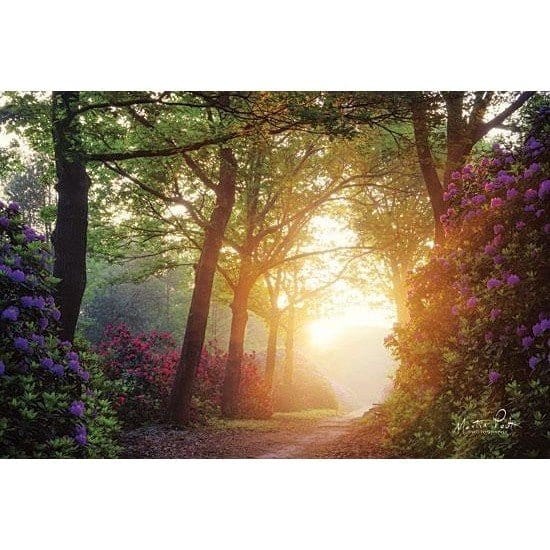 Color Overdose By Martin Podt Art Print - 12 X 18-Penny Lane Publishing-The Village Merchant