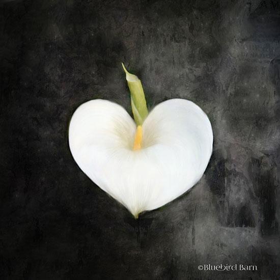 Penny Lane Publishing Contemporary Floral Cala Lily By Bluebird Barn Art Print - 12 X 12