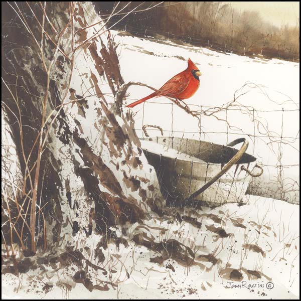 Country Cardinal By John Rossini Art Print - 12 X 12-Penny Lane Publishing-The Village Merchant