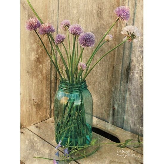 Penny Lane Publishing Country Chives By Anthony Smith Art Print - 12 X 16
