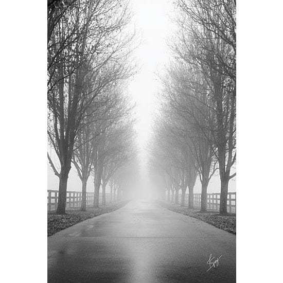 Penny Lane Publishing Curious Road By Justin Spivey Art Print - 12 X 18