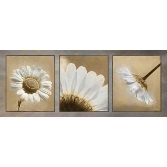 Penny Lane Publishing Daisy Trio By Lori Deiter Art Print - 8 X 20